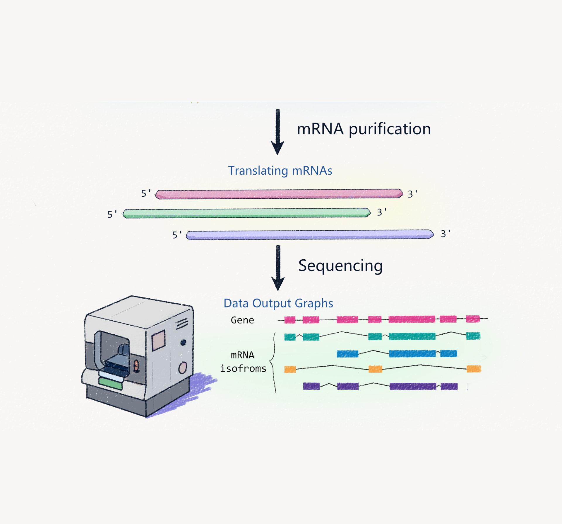 Poly-seq