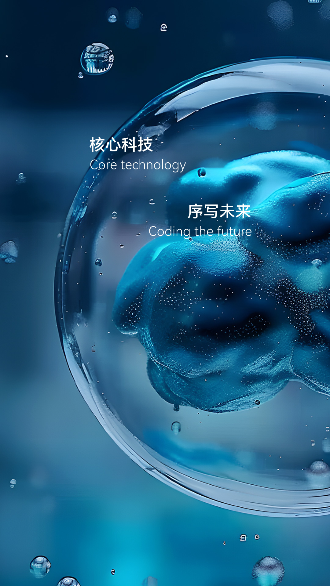 首页Banner