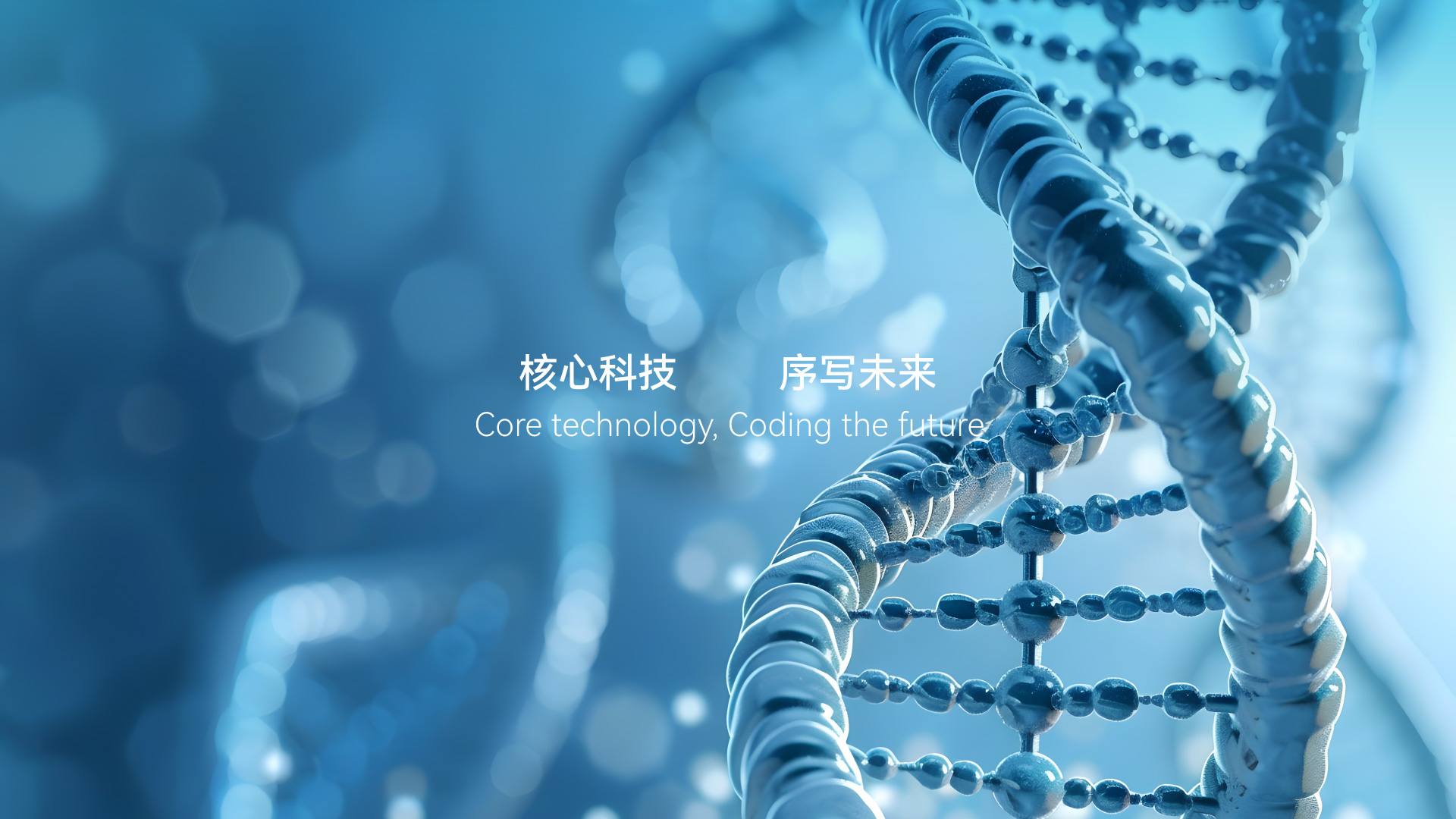 首页Banner