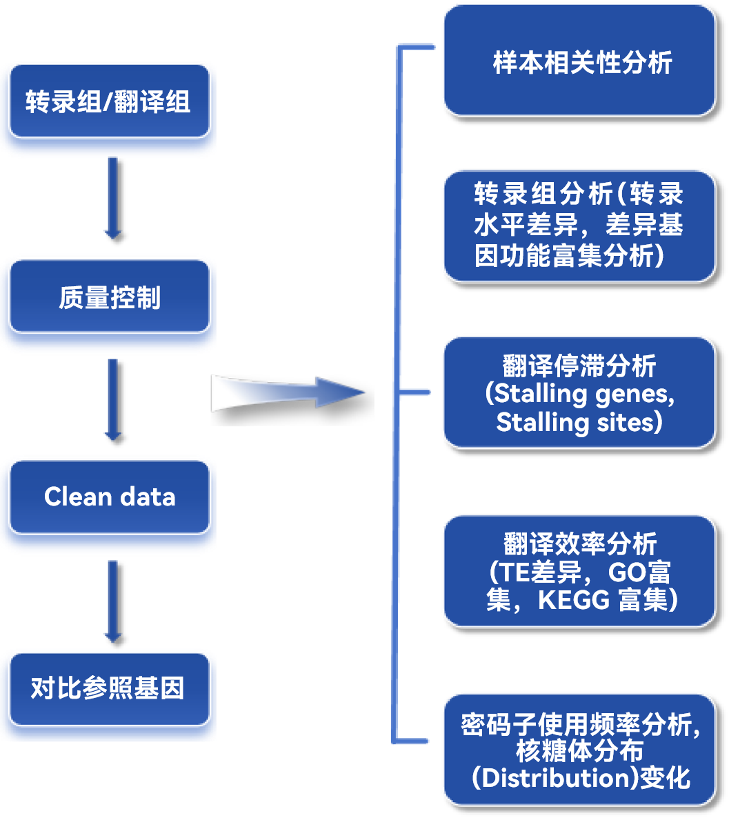 技术路线图