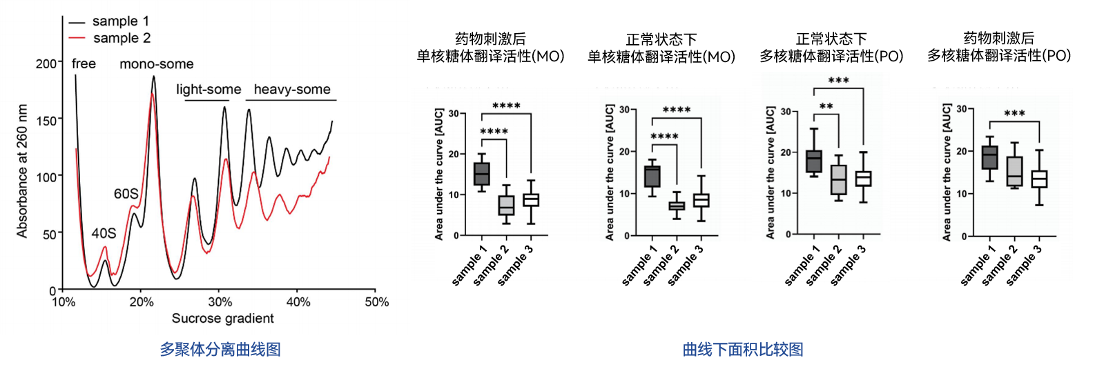 部分结果展示图