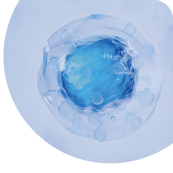 人源细胞 CRISPR 基因敲除