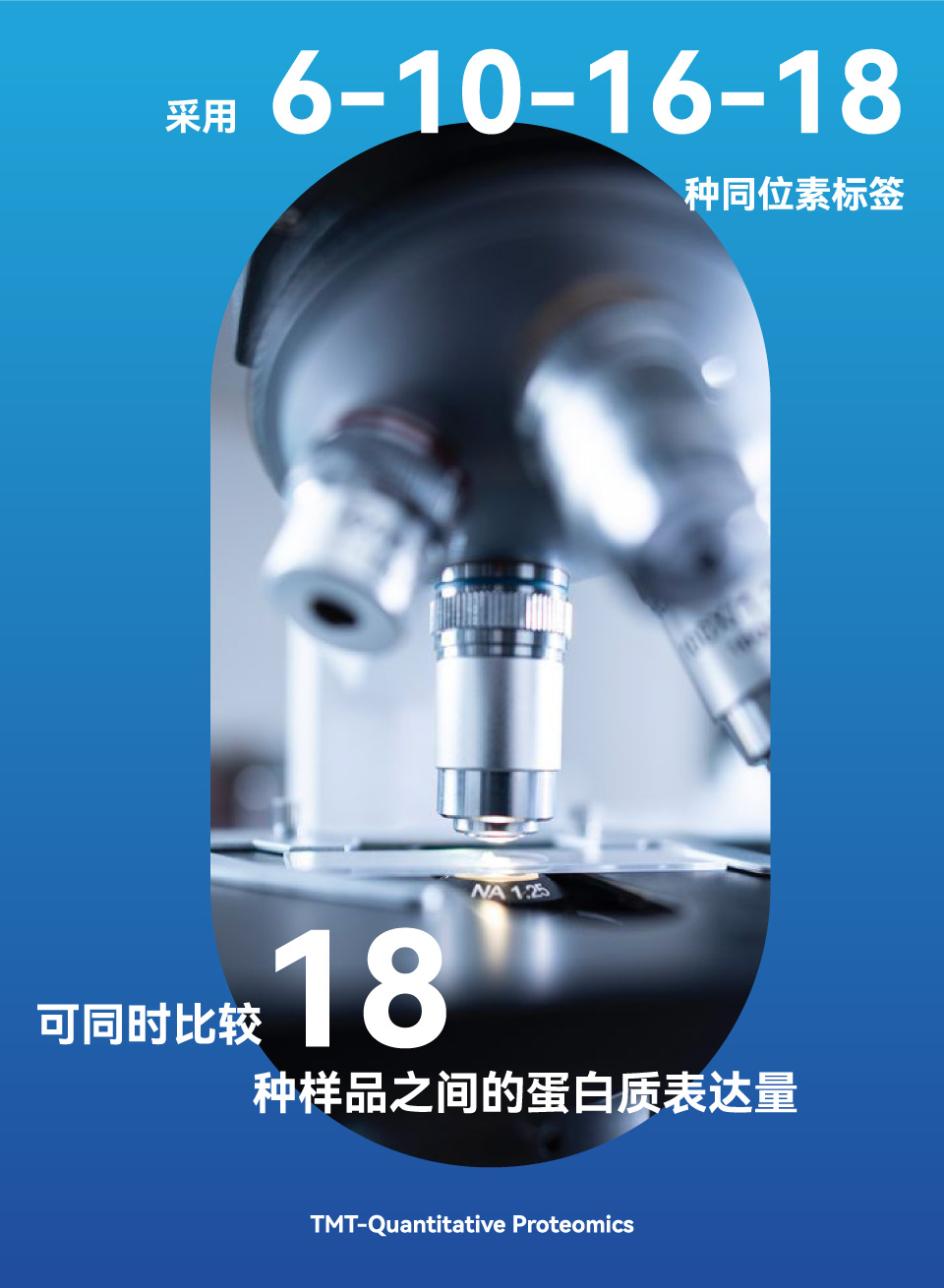 TMT-定量蛋白组学