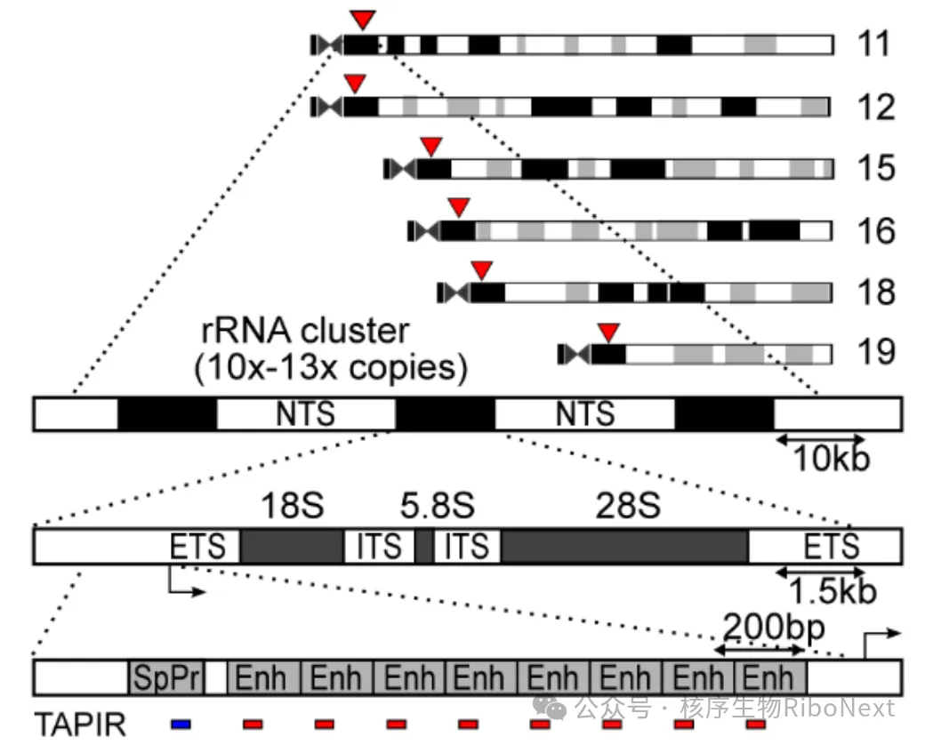 a3f5690e-dbdc-4124-8b1d-ecb47960bcb2.png