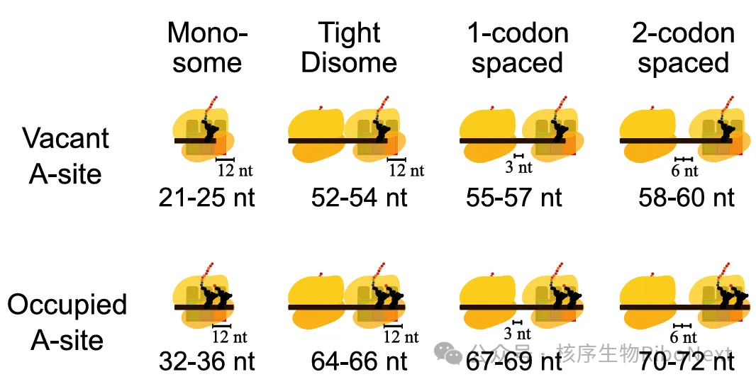 1789376256513517.png d9c99c3a-4420-4d13-bfcb-e450cafad8e6.png