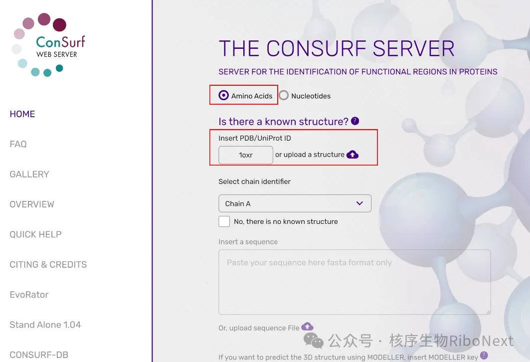 Pymol的使用（六）：蛋白质的保守性分析