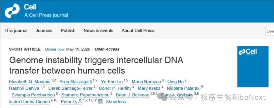 Cell | 基因组不稳定性触发人类细胞间基因组DNA转移,重塑哺乳动物遗传交流新范式