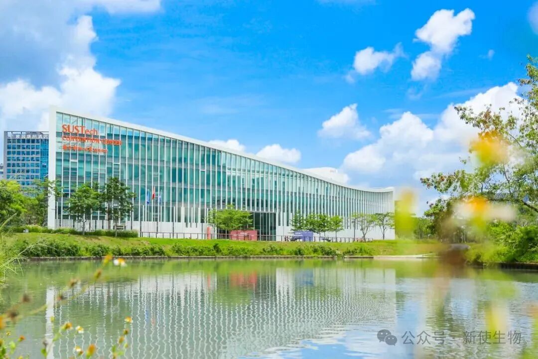 2026年翻译调控与生物技术应用研讨会(第一轮通知)