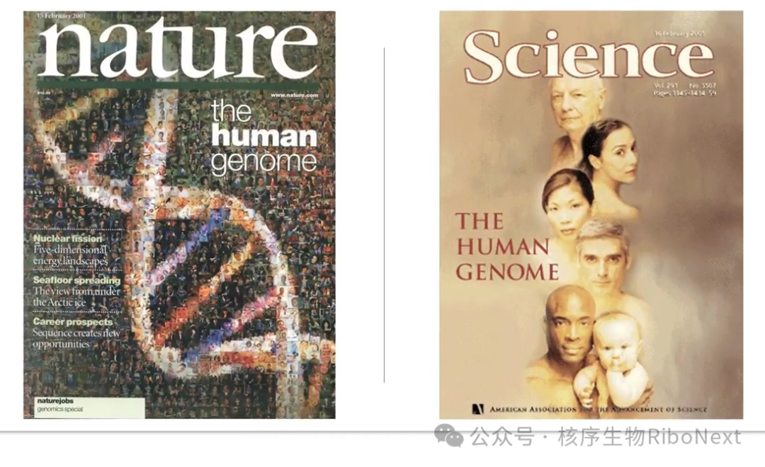 测序技术发展史(二)| 后基因组时代:测序技术的飞跃之路